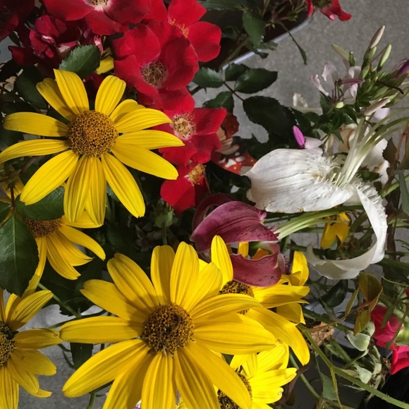 Meet the Posher - Picture 3 of 3